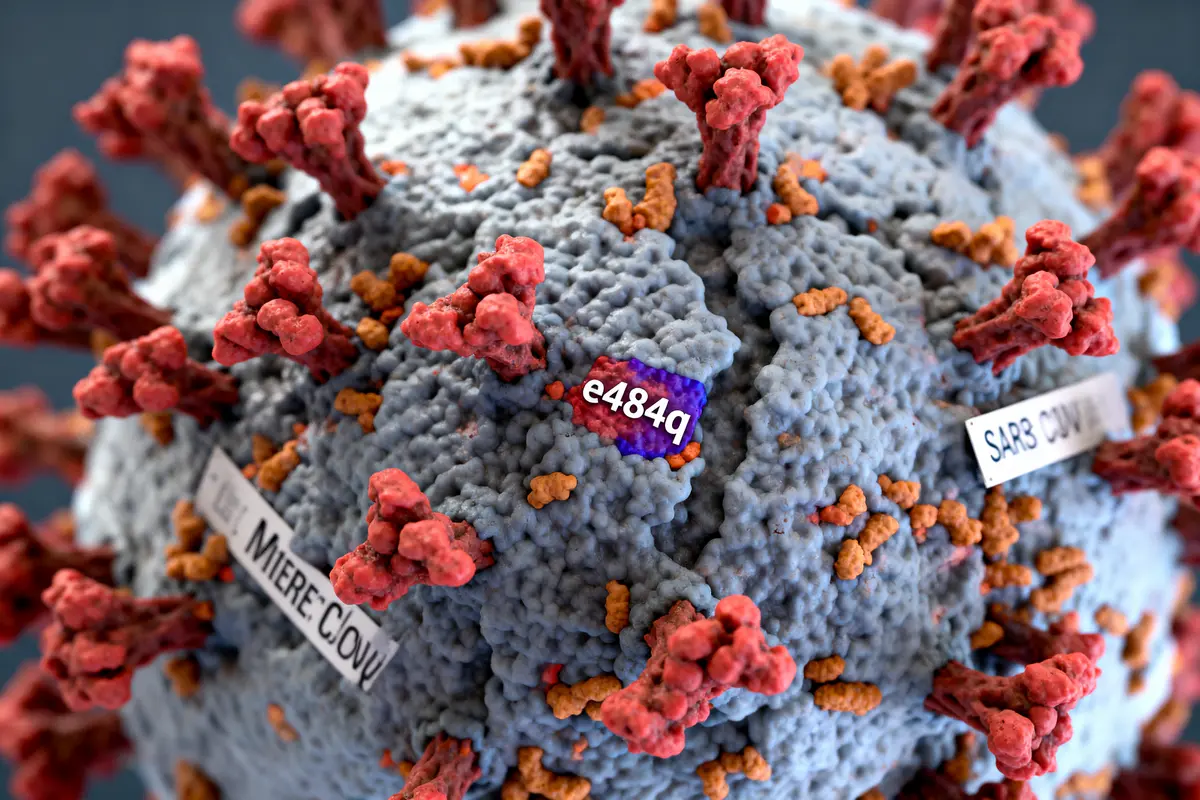 Modèle 3D du virus SARS-CoV-2 avec mutation E484Q en violet, protéines spike rouges et marquages.
